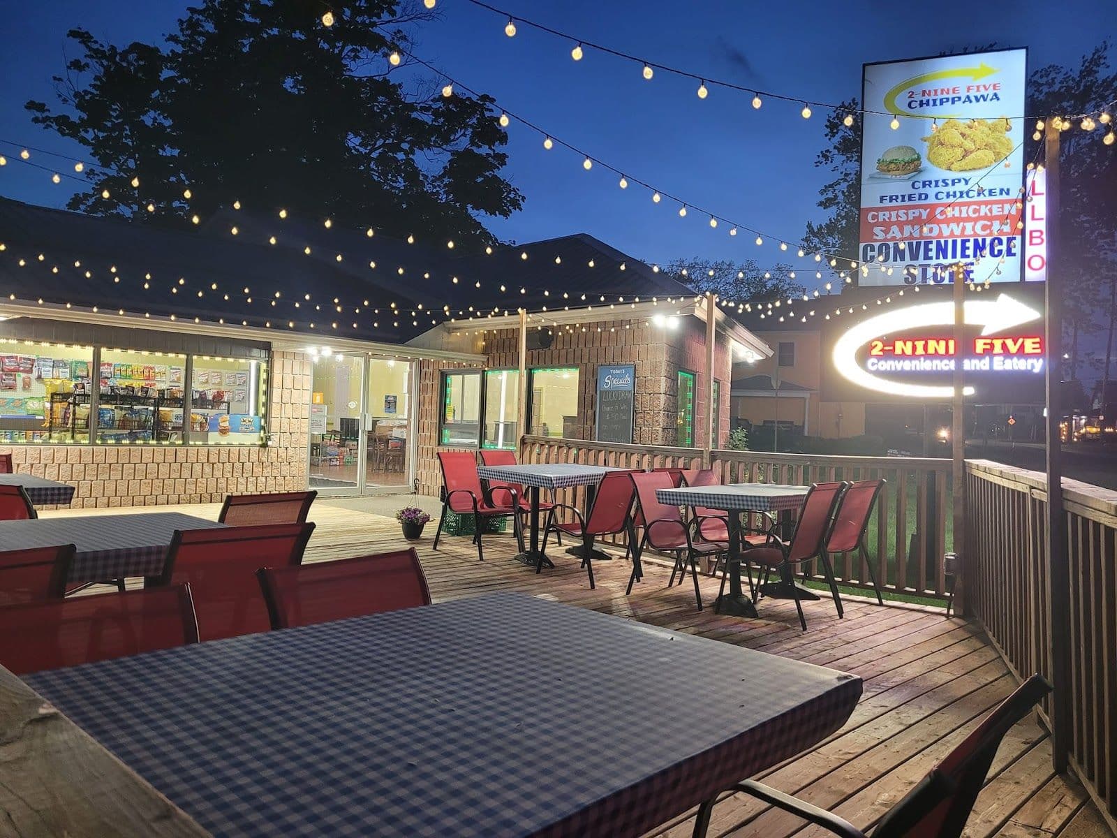 Guest photo from a Google review at 2 Nine Five (House of Artisan Chicken Burgers & Gourmet Fish & Chips)