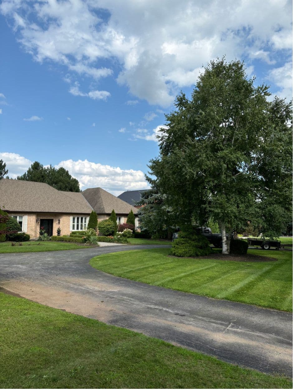 Customer photo from a Google review at Milburough Premium Landscape