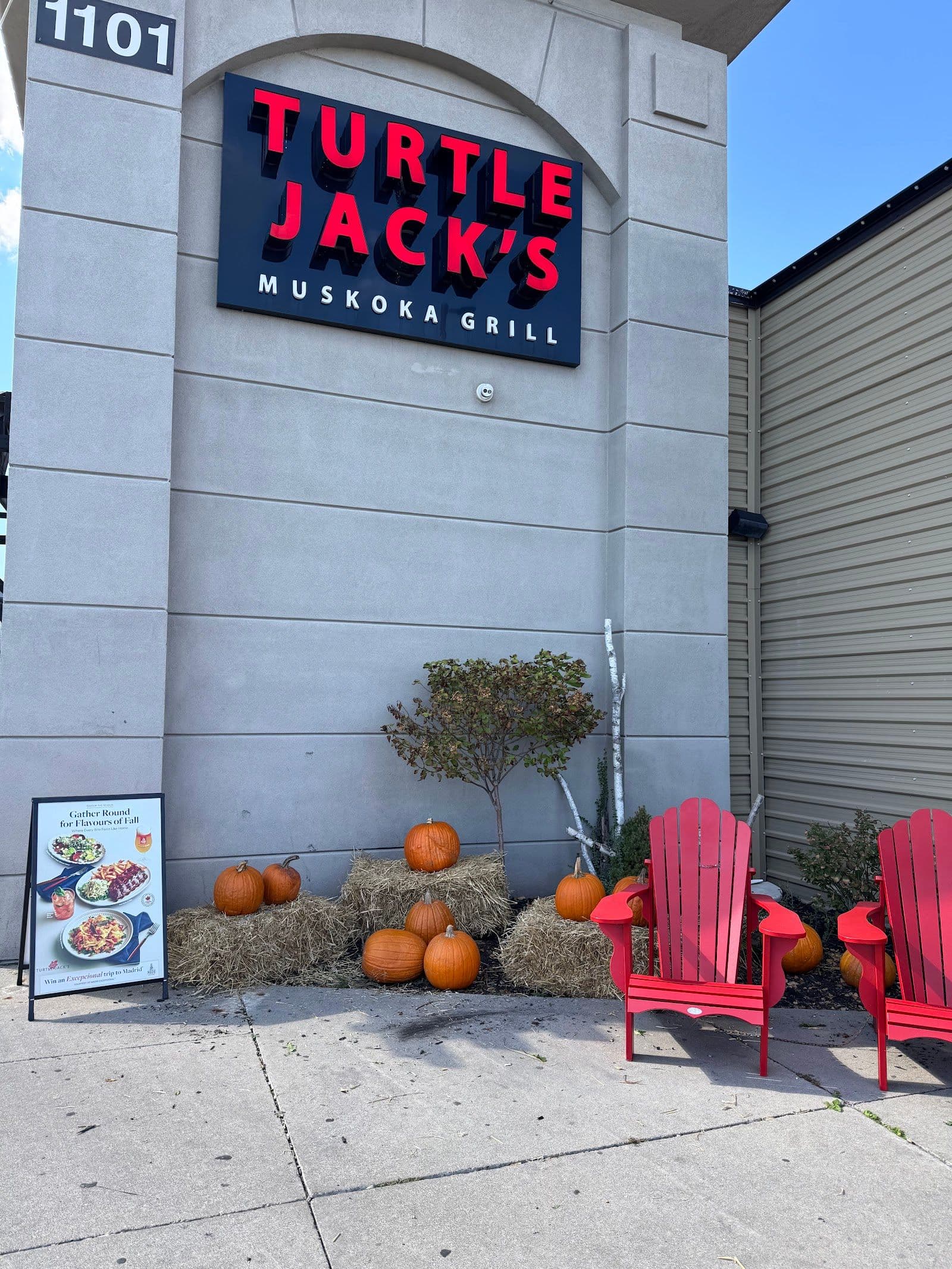 Guest photo from a Google review at Turtle Jack's Milton