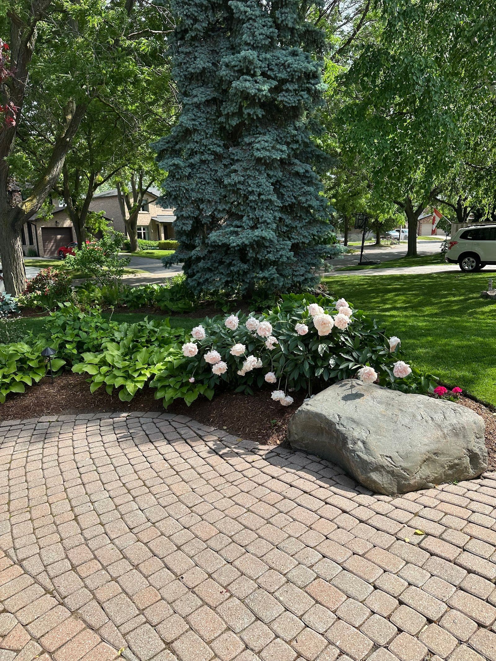 Patient photo from a Google review at Verdant Landscape and Design Inc.
