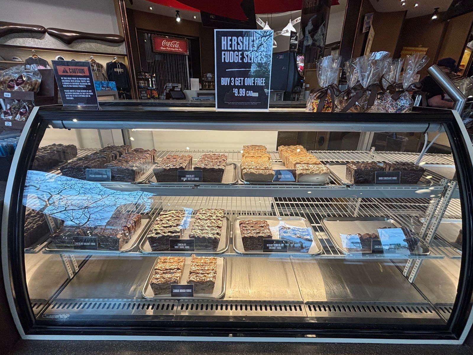 Guest photo from a Google review at Hershey's Chocolate World