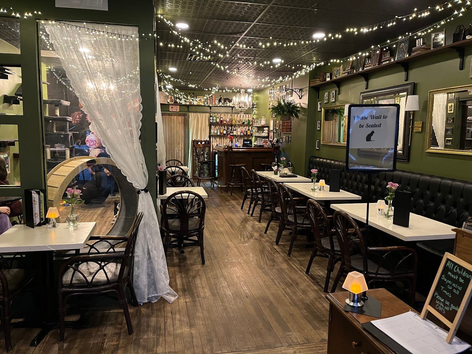 Another guest photo from a Google review at Niagara Falls Cat Cafe