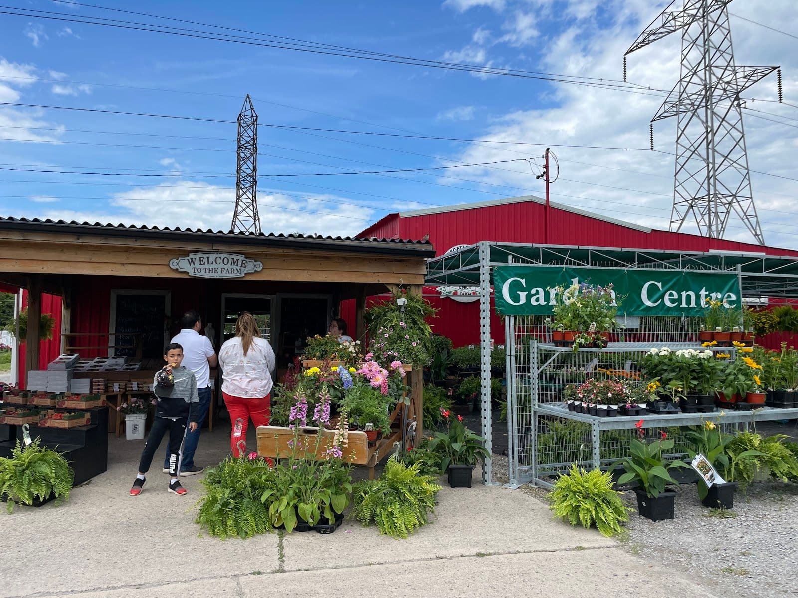 Guest photo from a Google review at Niagara Strawberry And Fruit Farm