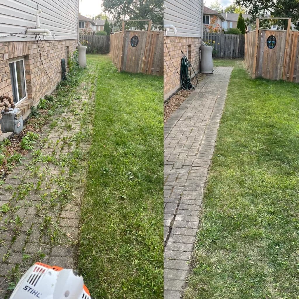 Another customer photo from a Google review at A Cut Above
