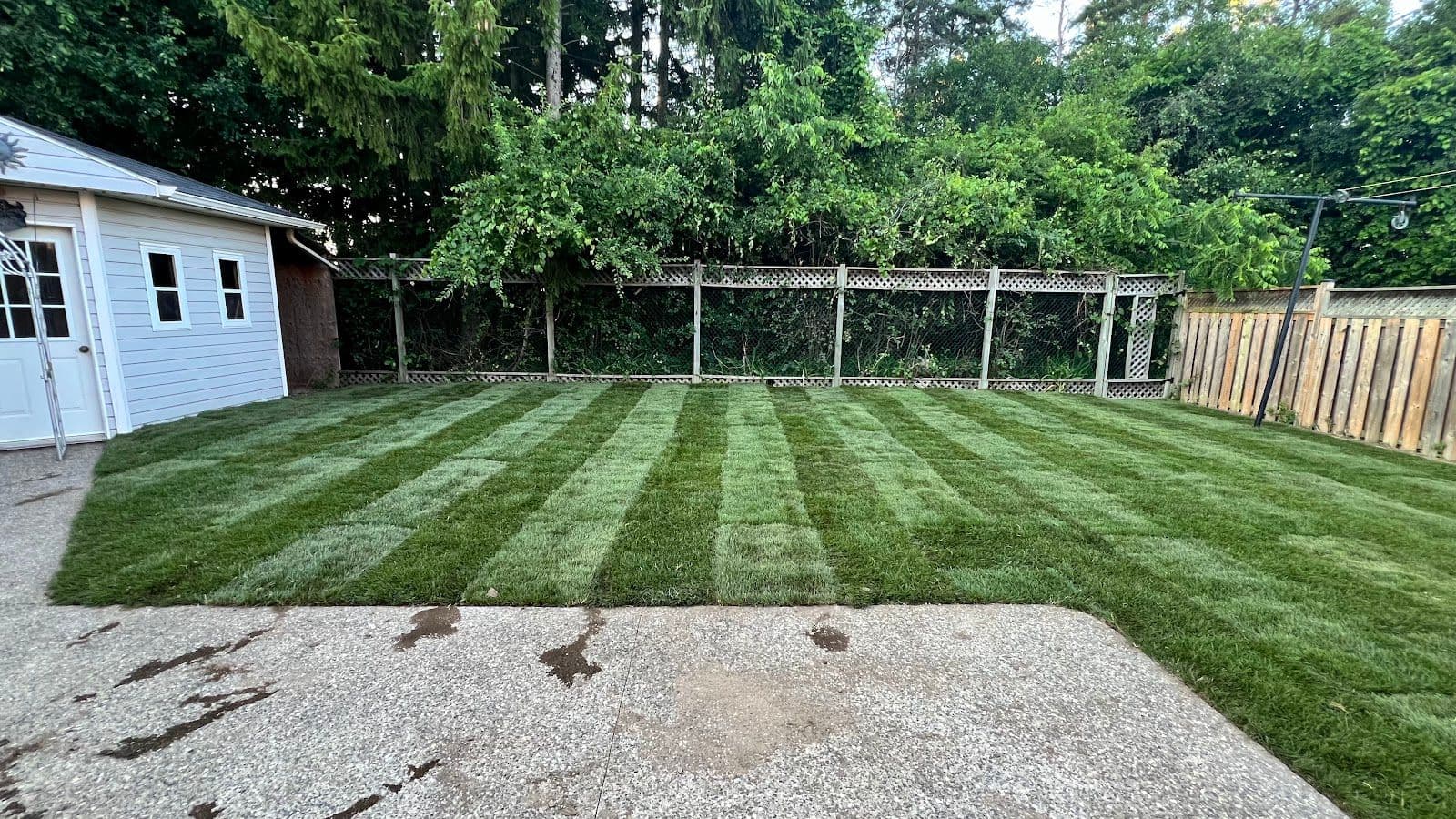 Another customer photo from a Google review at Olive landscaping ca