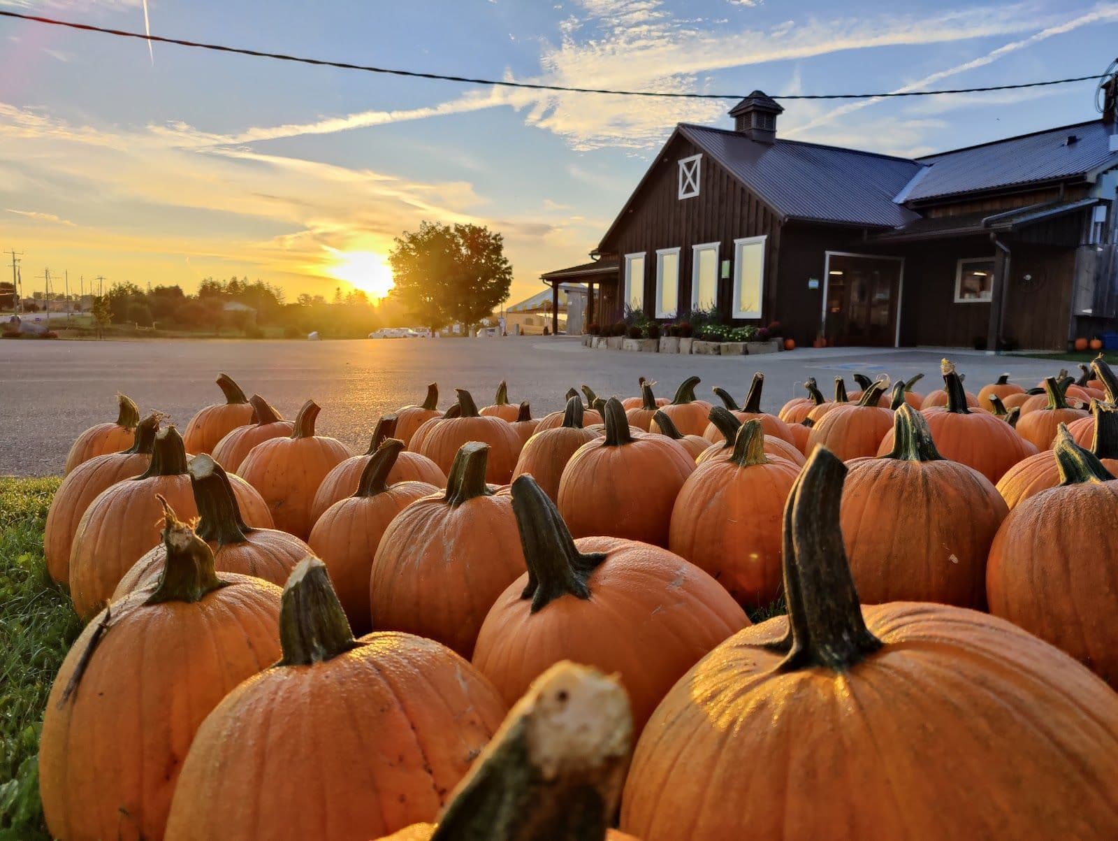 Another guest photo from a Google review at Herrle's Country Farm Market