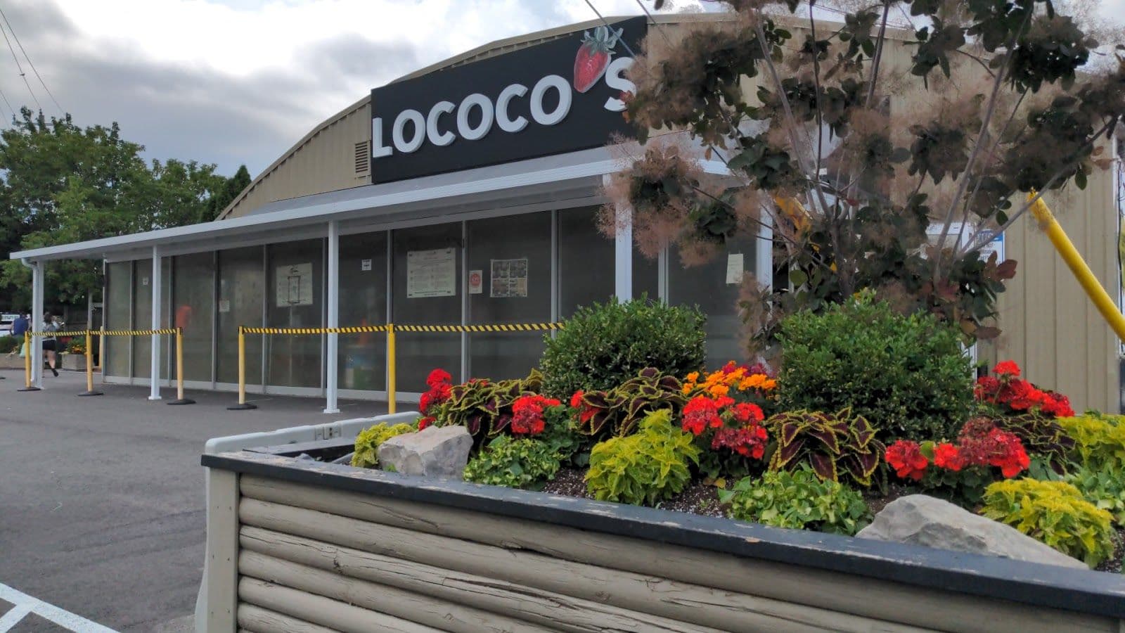 Guest photo from a Google review at Lococo's